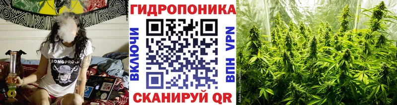 Где купить наркотики Оленегорск Амфетамин  МЕФ  А ПВП 