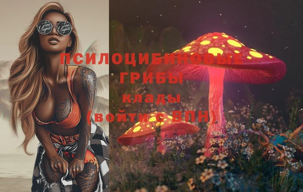 винт Армянск