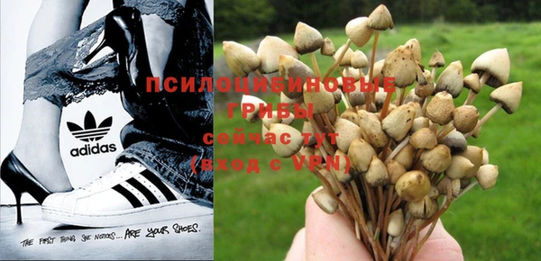 МДМА Аркадак
