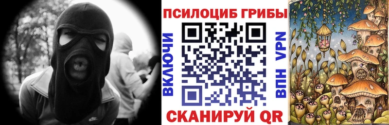 наркошоп  Оленегорск  Псилоцибиновые грибы Psilocybe 