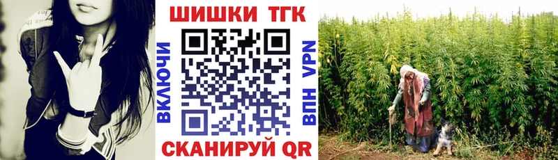 mega маркетплейс  Оленегорск  Конопля VHQ  цена наркотик 